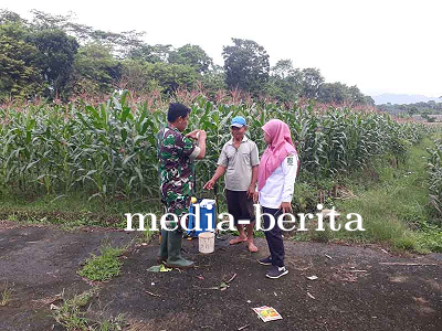 Bakti Sosial TNI Pendampingan Penyemprotan Hama untuk Peningkatan Produktivitas Tanaman Jagu