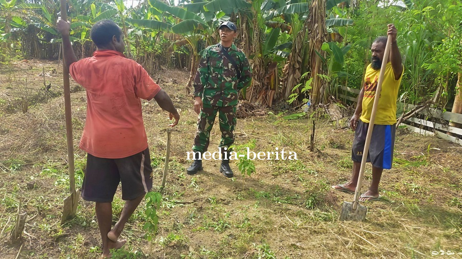 Bertemu Pendeta, Babinsa Bantu Siapkan Lahan Ubi Jalar di Pekarangan Gereja