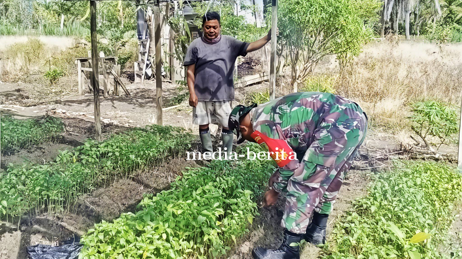 Serda Kapisa Diskusi dengan Petani Bahas Pestisida hingga Strategi Panen Cabai Rawit