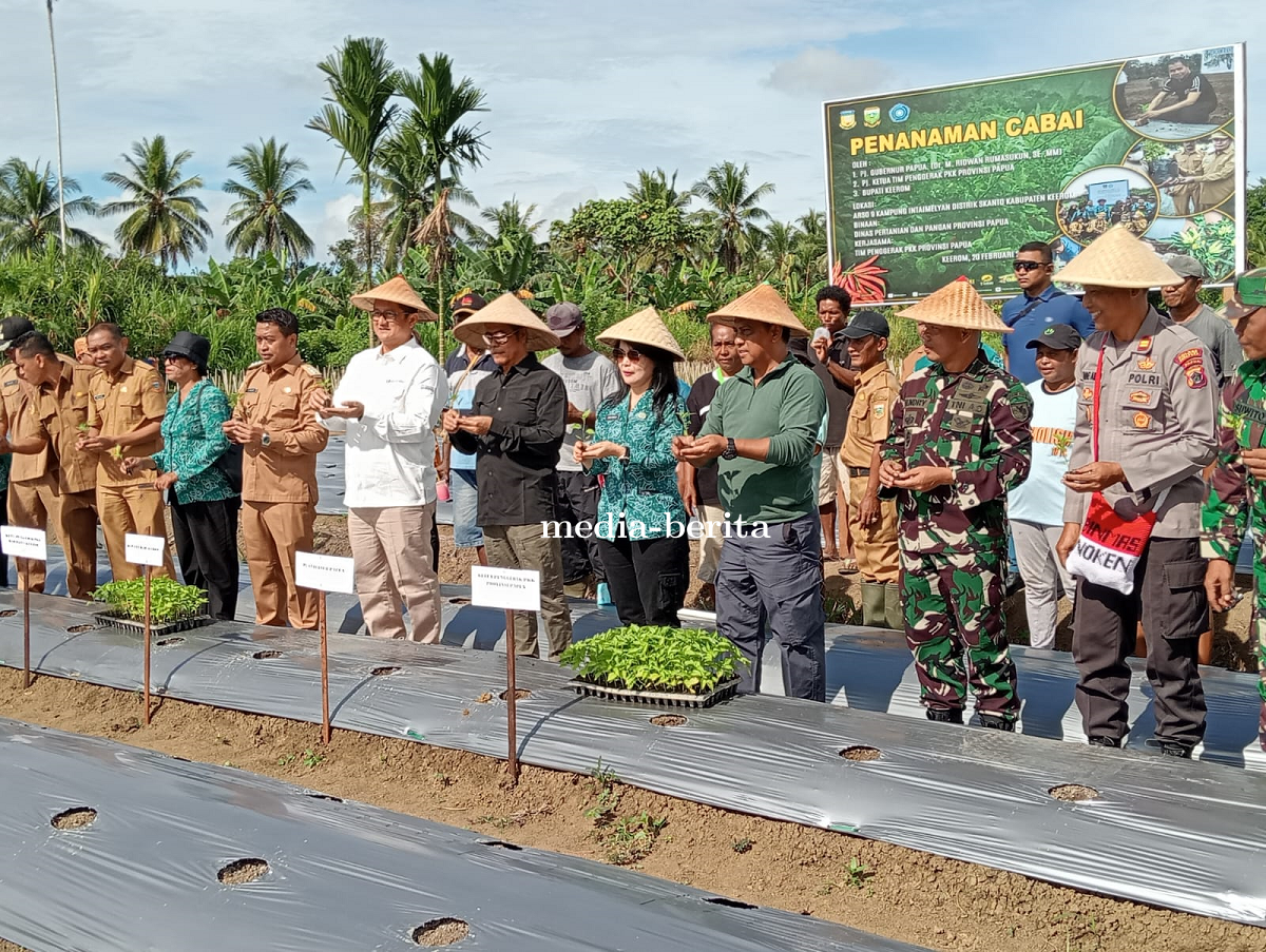 Kendalikan Laju Inflasi Dandim Jayapura Dampingi Pj Gubernur Papua Tanam dan Panen Cabai