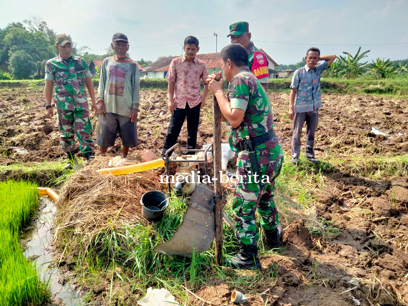 Serka Waluyo Dampingi Petani Pompanisasi Tanaman Padi