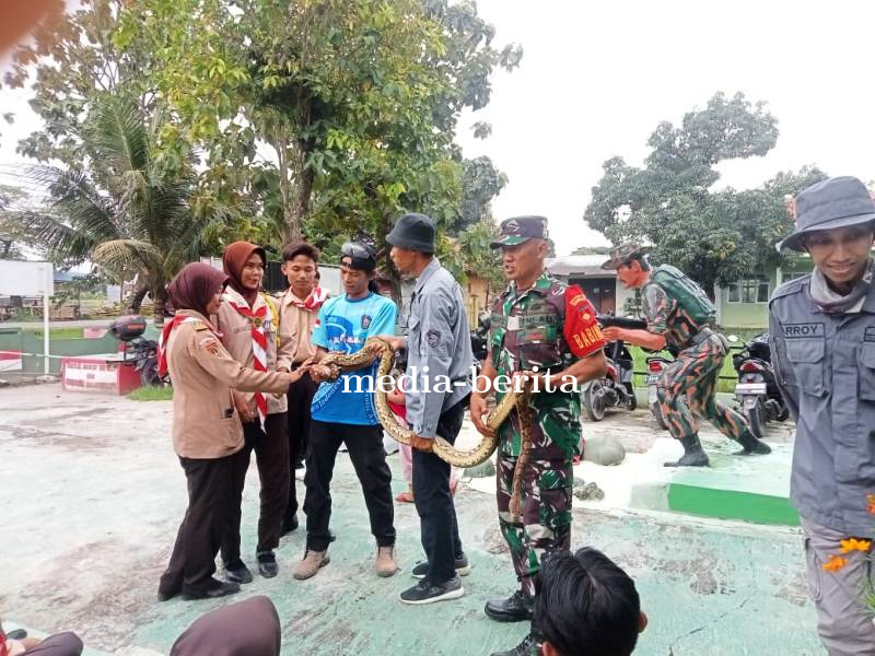 Pramuka SWK Jatibarang Dibekali Penanganan Ular Berbisa dan Survival